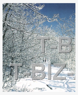 10 6040 Background Winter - Snow