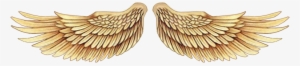 Asas Douradas Png