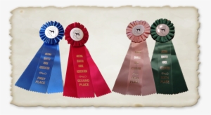 Congratulations To Glenda Roberts And Molly Fisher, - Flower