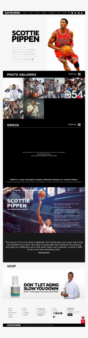 Scottie Pippen Competitors, Revenue And Employees - Fathead Chicago Bulls Scottie Pippen Wall Graphic 23-23011