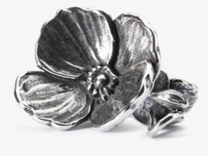 Flower Wishes Of Spring - Lovers Faith