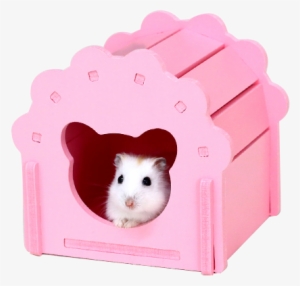 Hamster Hamster Cabin Sleeping Nest Toys Winter Warm
