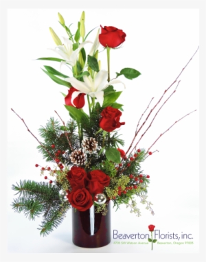 Silver Bells - Garden Roses