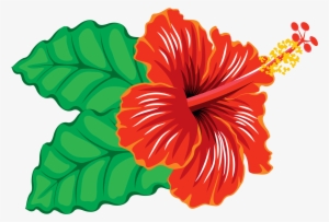 Big Image - Hawaiian Hibiscus