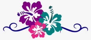 Polynesia Clipart Pink Flower Border - Hibiscus Clip Art - 640x480 PNG ...