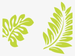 Hibiscus Clipart Hibiscus Leaves - Hibiscus Clip Art