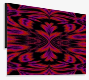 Rainbow Light Butterfly Canvas Print - Visual Arts