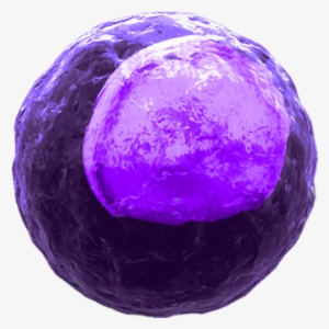Click On A Cell To Start - Macrophages Transparent