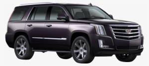 Car Hire Price In Kokstad South Africa