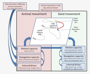 Seed Dispersal Framework - Seed Dispersal