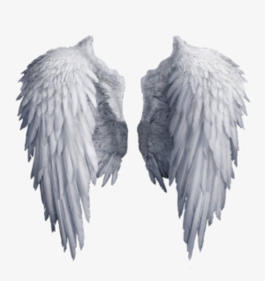 Angel, Background, And Clipart Image - Angel Wings Png