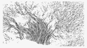 We Tend To Think Of The Continent As Static And Unchanging, - Sketch