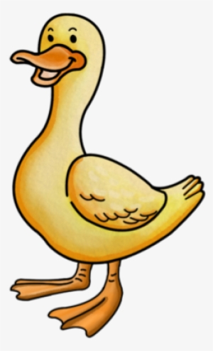 Duck [image] - Duck