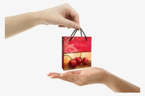 Hand Giving Gift Bag - Giving A Bag To Someone