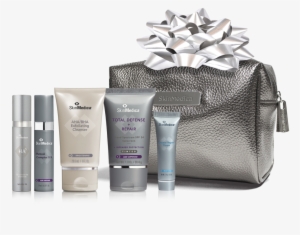 Skinmedica Holiday Gift Bag - Skinmedica Holiday Gift Set - 1280x853 ...