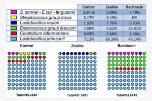 Contingency Dots Showing The Distribution Of The Species - Circle