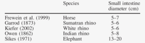 The Diameter Of The Small Intestine In Different Hindgut - Small Intestine Diameter