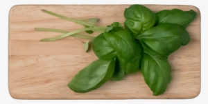 ½ Ounce - Basil