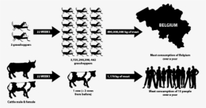 Edible Insects For Food, Feed And Food Security - Insects As Food And Feed