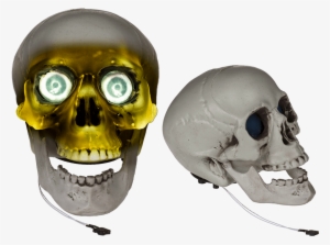 Plastic Skull With Light & Sound Ca - Plastic