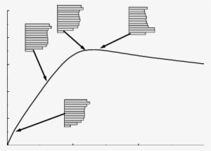 Shape Of Loading Vector Is Updated At Each Analysis - Shape