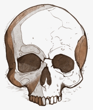 However Eternal Tyranny Offers A Different Way To Level - Skull