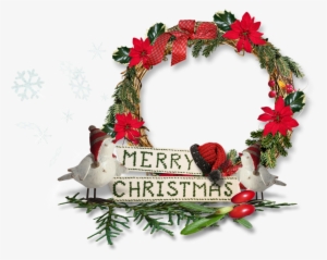 Christmas Flowers Poinsettia Frames - Christmas Day