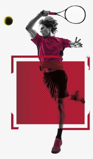 Tenis - Badminton