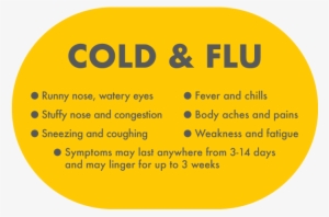 Cold And Flu Symptoms - Cold Flu Symptoms