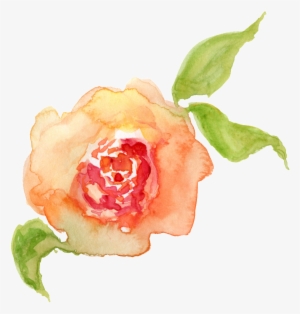 Water Saffron Transparent Decorative - Portable Network Graphics