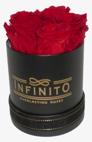 Infinito Petite Round Box - Box