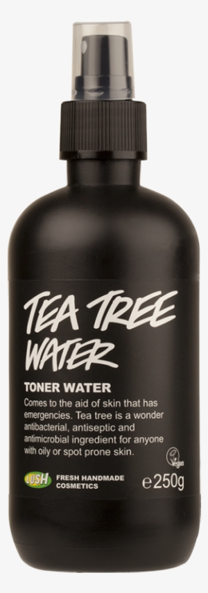 Our 5 Favorite Tea Tree Oil Beauty Products - Tea Tree Water Lush