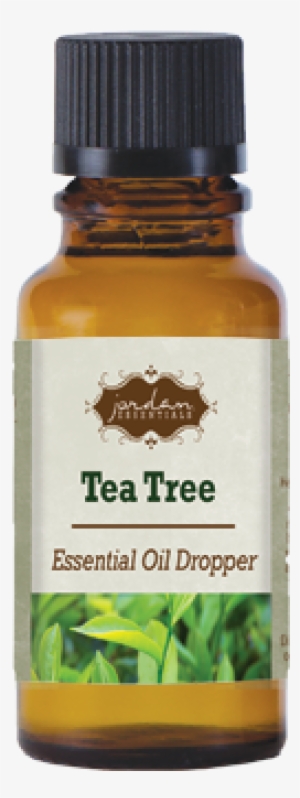 Tea Tree Essential Oil Dropper - Cosmetics