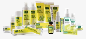 For Nearly Forty Years, Thursday Plantation Has Been - Thursday Plantation Body Wash - 200ml