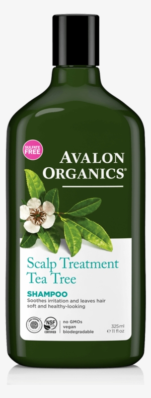 Scalp Treatment Shampoo - Avalon Organics Scalp Treatment Tea Tree Shampoo