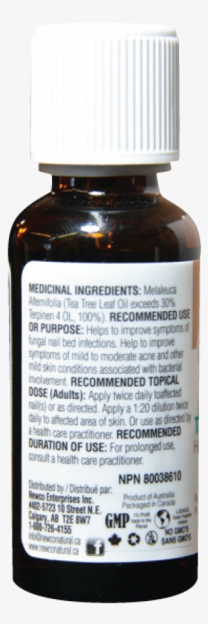 Tea Tree Oil Regular - Tea