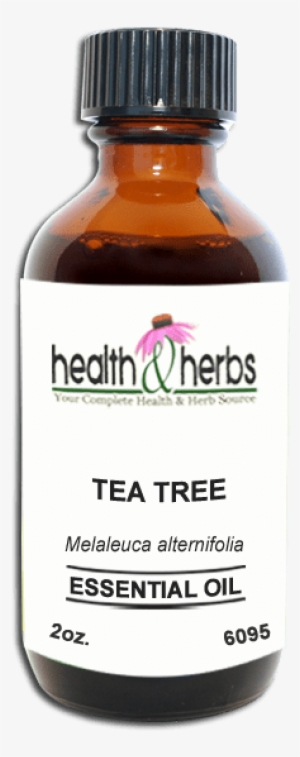 Tea Tree, Essential Oil - Alternative Health & Herbs Remedies Mullein Oil