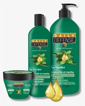 Tea Tree Mint - Daily Defense Shampoo Tea Tree Mint