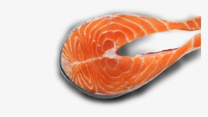 Ingredient Story Protein - Ingredient