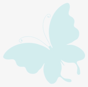 Big-butterfly - Short-tailed Blue