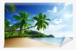 Chois Custom Wall Murals Wallpaper Desinger Home Art