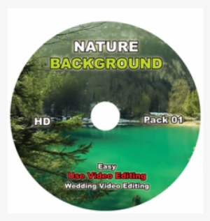 Nature Background - Grass