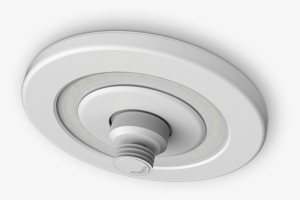 Rapidrop Lumi-plugin Flush Pendent Sprinkler [insatalled - Ceiling