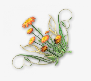 Tubes Varies Pngpour Vos Creasmerci Pour Vos Commentaires - 花边 边框