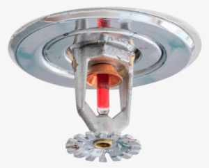 Commercial Fire Protection - Ceiling Fire Sprinkler