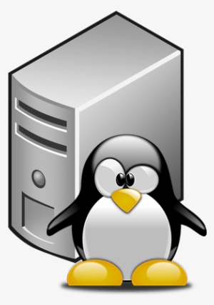 Virtual Lab Linux Workstation - Tux Graduado