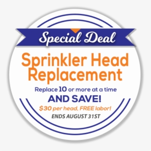 Schedule An Appointment - Zaporizhia