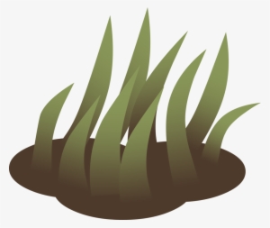 Grasses Lawn Landscape Design Computer Icons Vetiver