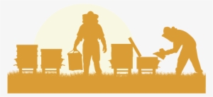 Honey Bee Viruses, The Deadly Varroa Mite Associates - Une Ruche En Ville, C'est Possible !