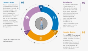 Compartir - - Circle